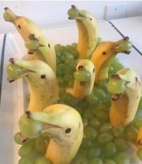 Fruit Dolphins