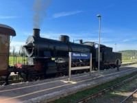 Rare steam in Italy
