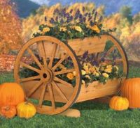 Theme: Wagon Wheels and Flowers