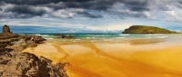Cannibal Bay Otago New Zealand