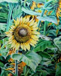 sunflower I painted