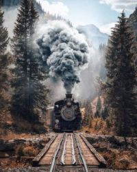 Train in Nature with Amazing Smoke