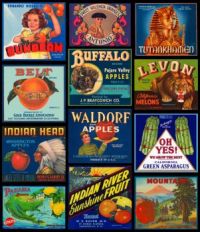 Label Montage 44