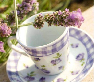 Lavender Tea Too