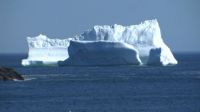 Iceberg Alley,N.L.