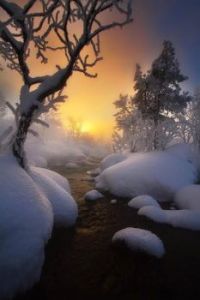 Beautiful winter sunrise