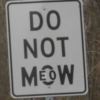 old signs