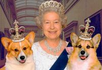 The Queen and Her Corgis