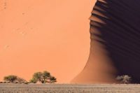 Písečné duny připomínající vlny, Namibská poušť ...........