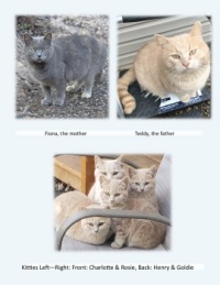 The Feral Family