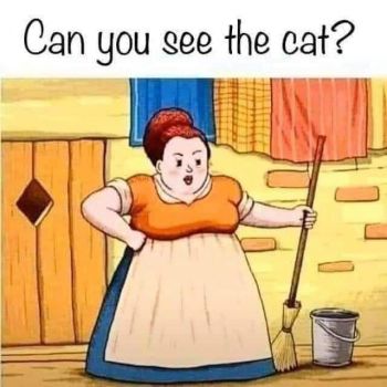 Can you see the cat?