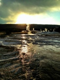Geyser at sunset at Yellowstone