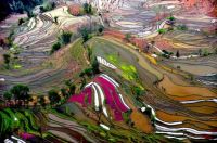 landscape in China