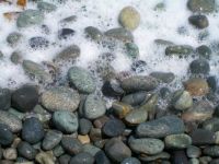 rocks