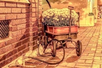Wagon with Mums in Downtown Clinton, TN