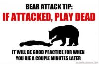 Beat Attack Tip