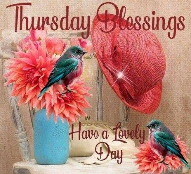 Good Morning - Thursday Blessings!