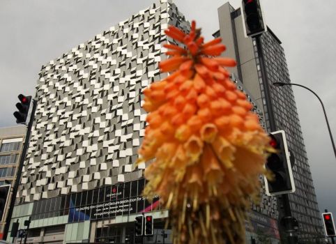 The Cheesegrater carpark in Sheffield, with red hot poker