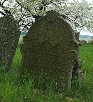 Prudice židovský hřbitov - Prudice Jewish cemetery, CR (2)