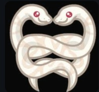 Albino Snakes