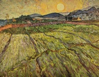 Vincent van Gogh 166