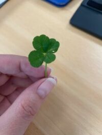Lucky!