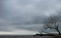 STRATUS