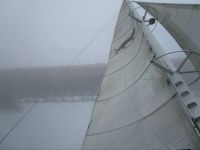 Beneath the Golden Gate