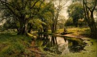 Still Water in the Forest, 1907