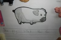 The Pig