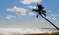 On the Beach Dominican Republic  (medium)
