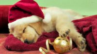 waiting for santa is hard work