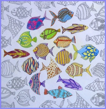 Solve Self-colored drawings. Zelf ingekleurde tekeningen. jigsaw puzzle ...
