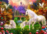 Magical Unicorns