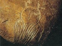 Chauvet Cave Painting Owl
