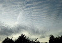 Cloudscapes