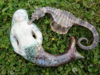 Mermaid and Seahorse 