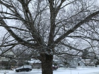 More snow 02/05/25