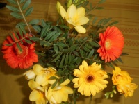 Dobrušce k narozeninám 💕🎁🌼