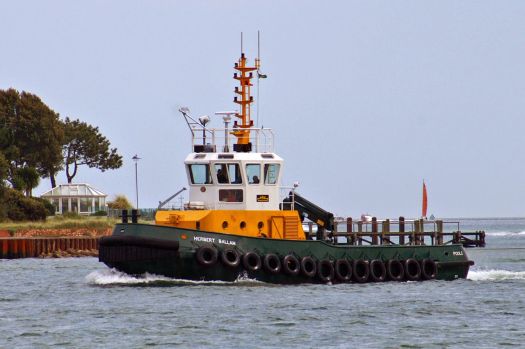 The Common Harbour Tug