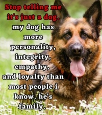 Personality