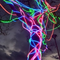 LuminoCity Scribble Tree Southend