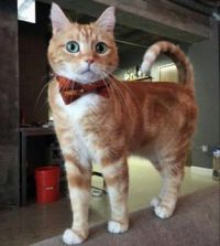 What a cutie!