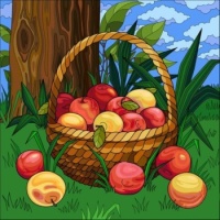 Basket of Peachs, Apples