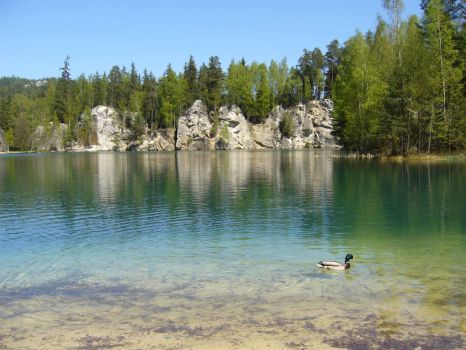 Pond in Adrspach rocks
