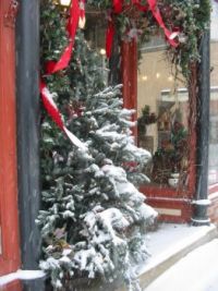 Christmas Season