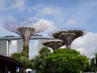 Solar Supertrees, Singapore