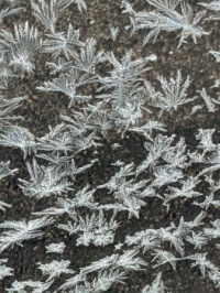 Frosty Night