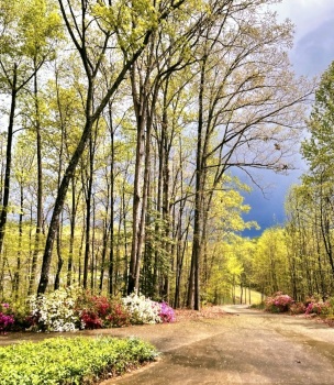 Solve Spring. Taylor's, South Carolina jigsaw puzzle online with 30 pieces