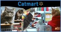 Monday Morning at the Cat Supermarket (includes funny video)